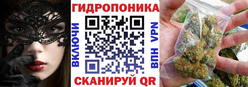 Конопля конопля  Пестово 